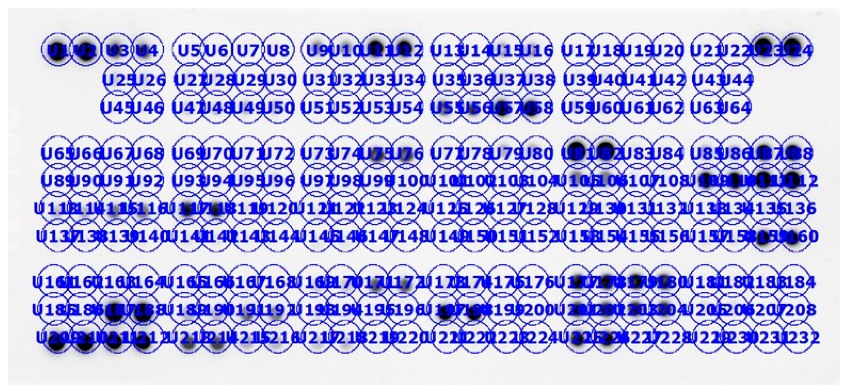 Ijms 27 01762 g0a4 Ijms 27 01762 g0a4