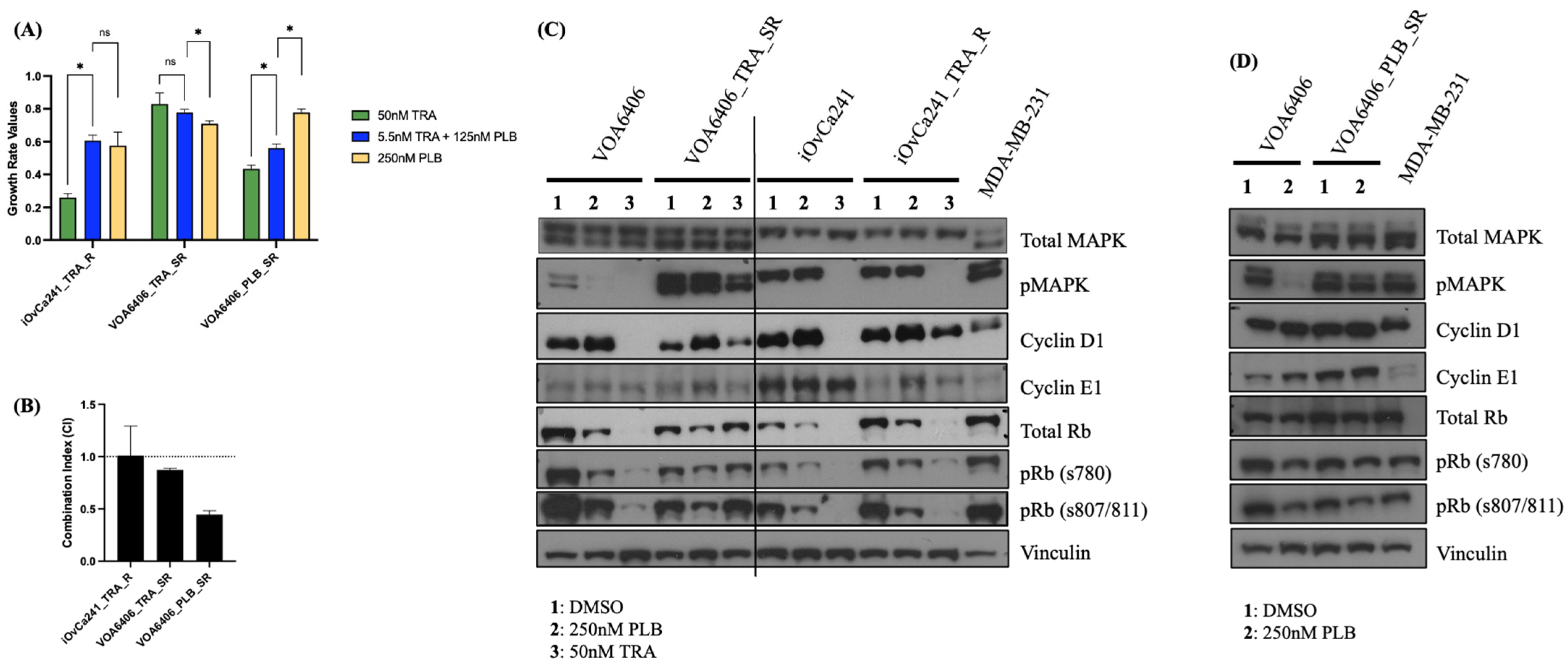 Ijms 27 01774 g004 Ijms 27 01774 g004