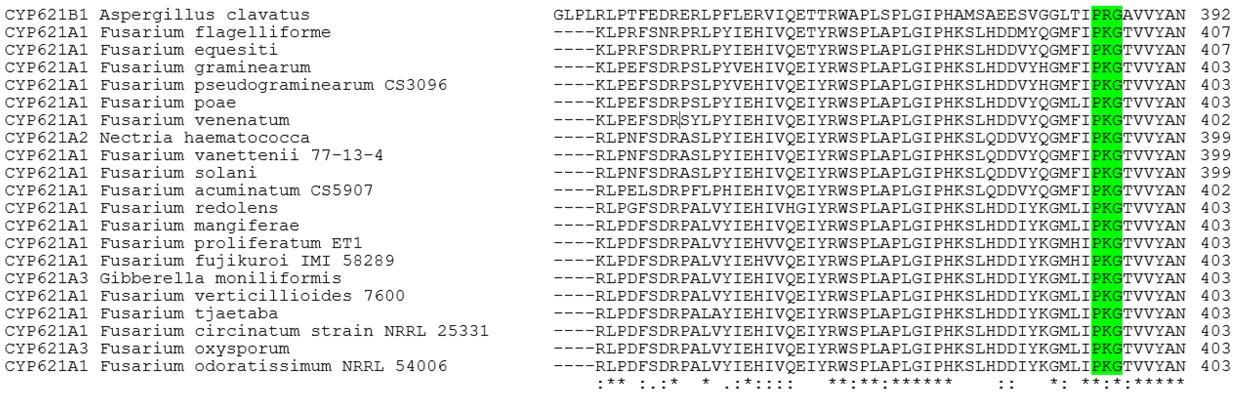 Ijms 27 01979 g001 Ijms 27 01979 g001