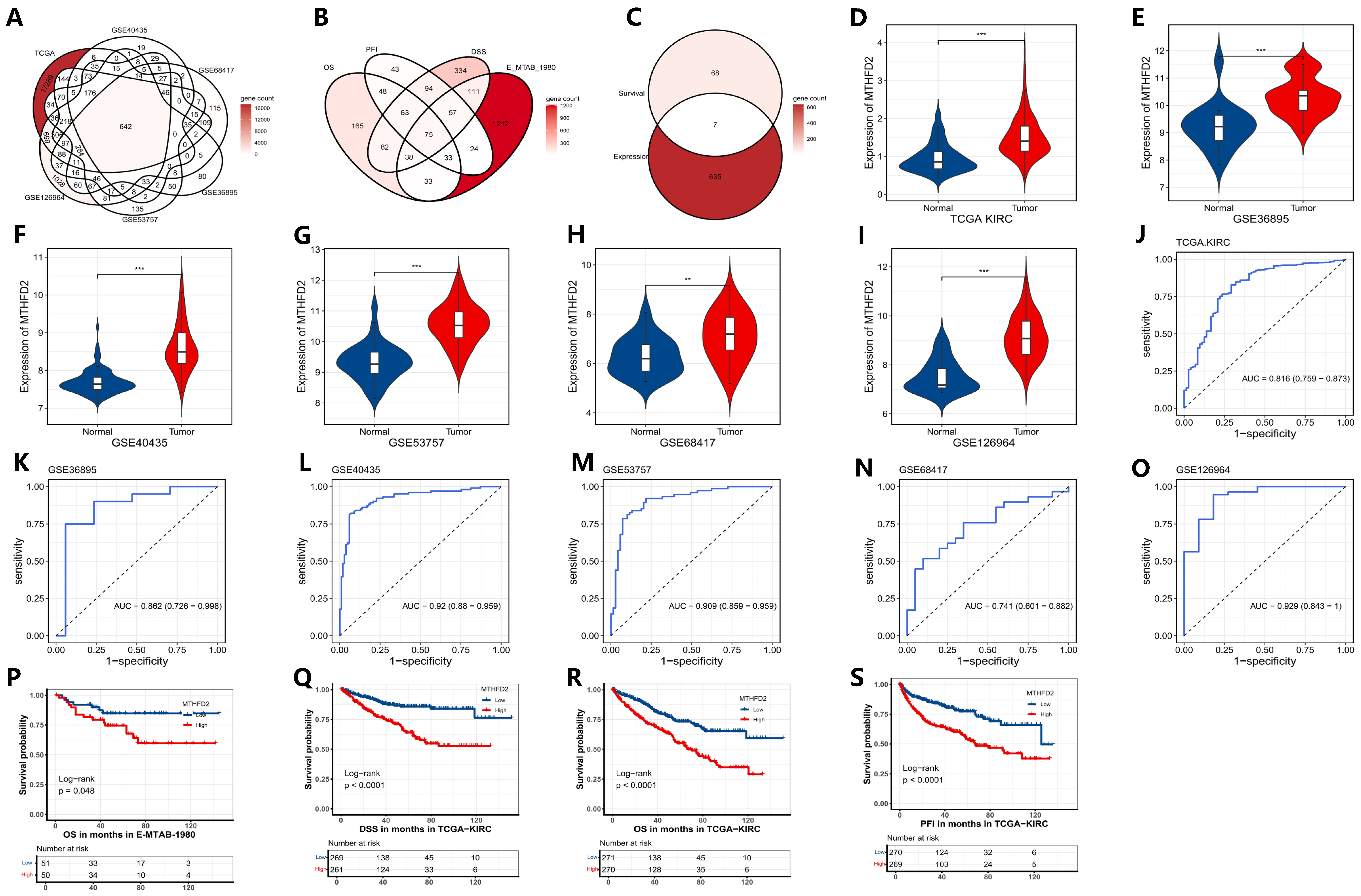 Ijms 27 02021 g001 Ijms 27 02021 g001