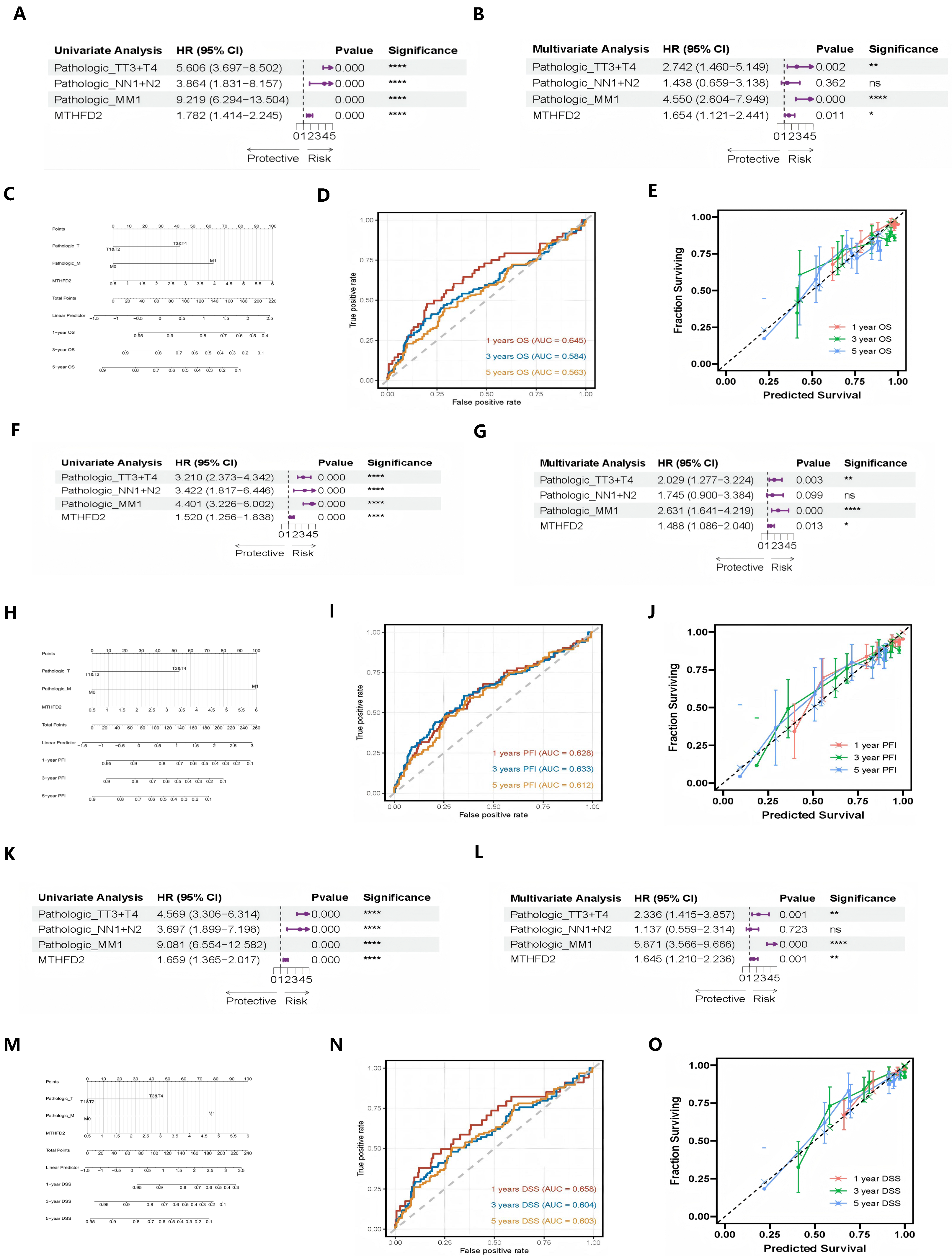 Ijms 27 02021 g002 Ijms 27 02021 g002