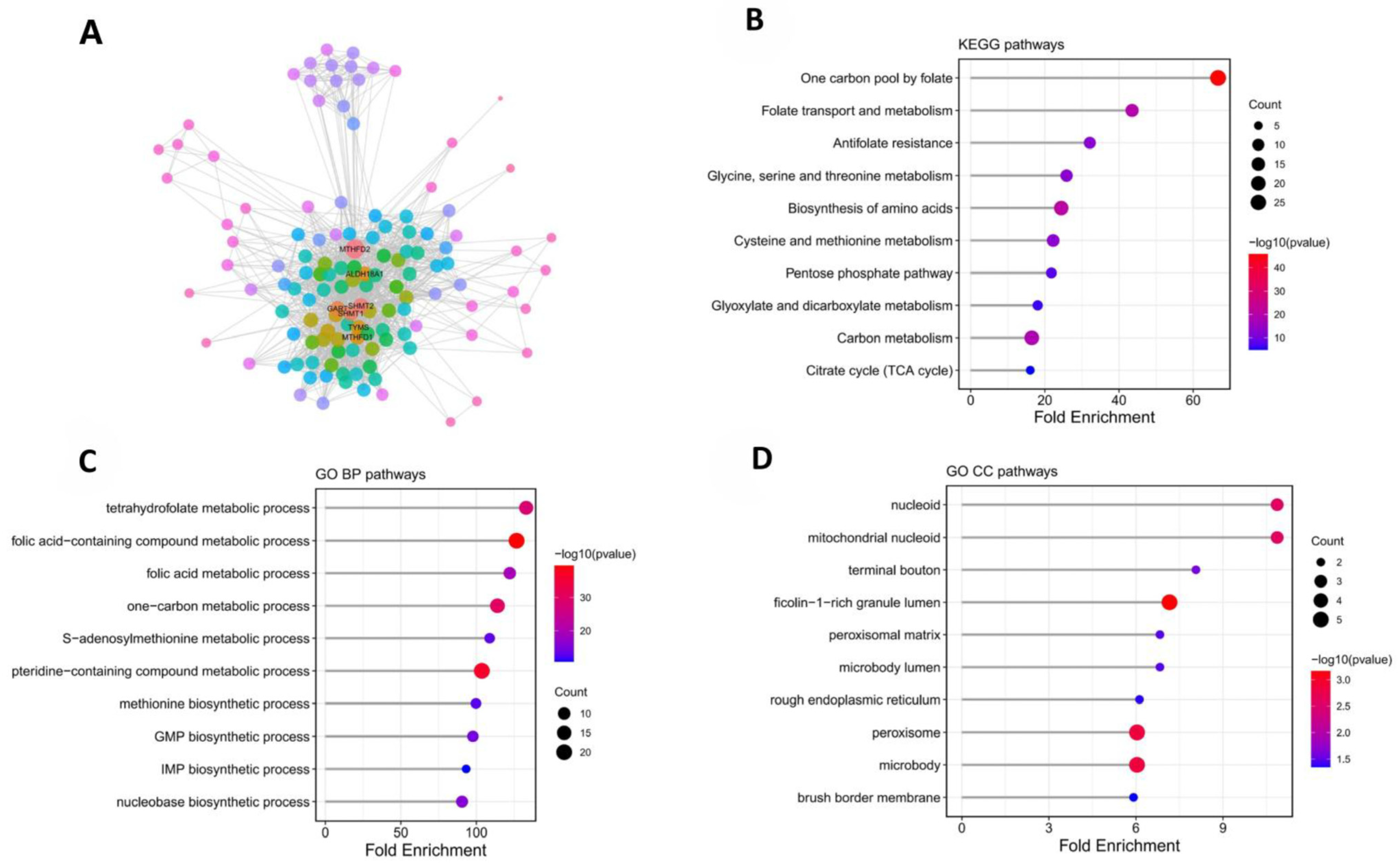 Ijms 27 02021 g003 Ijms 27 02021 g003