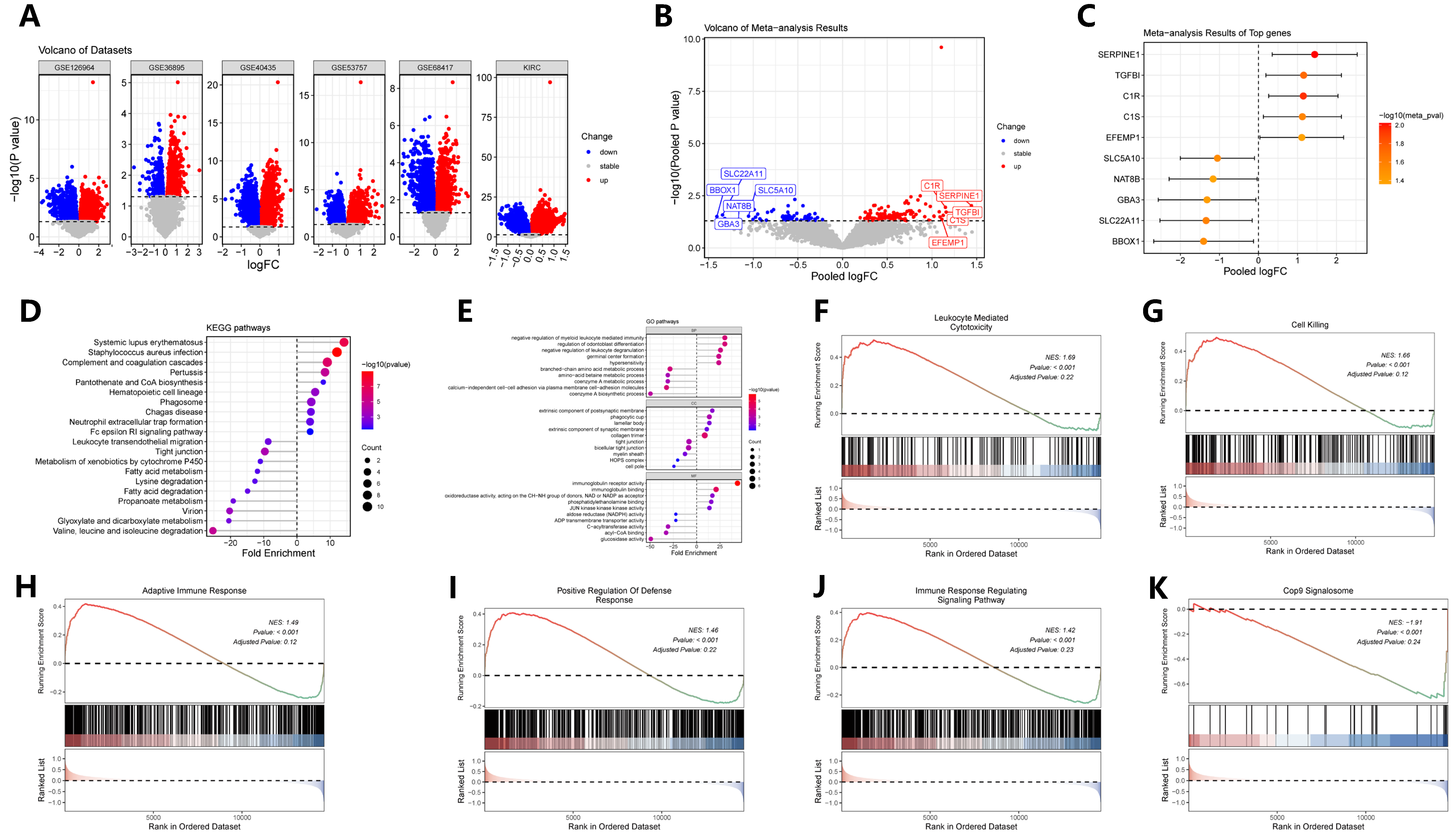 Ijms 27 02021 g004 Ijms 27 02021 g004