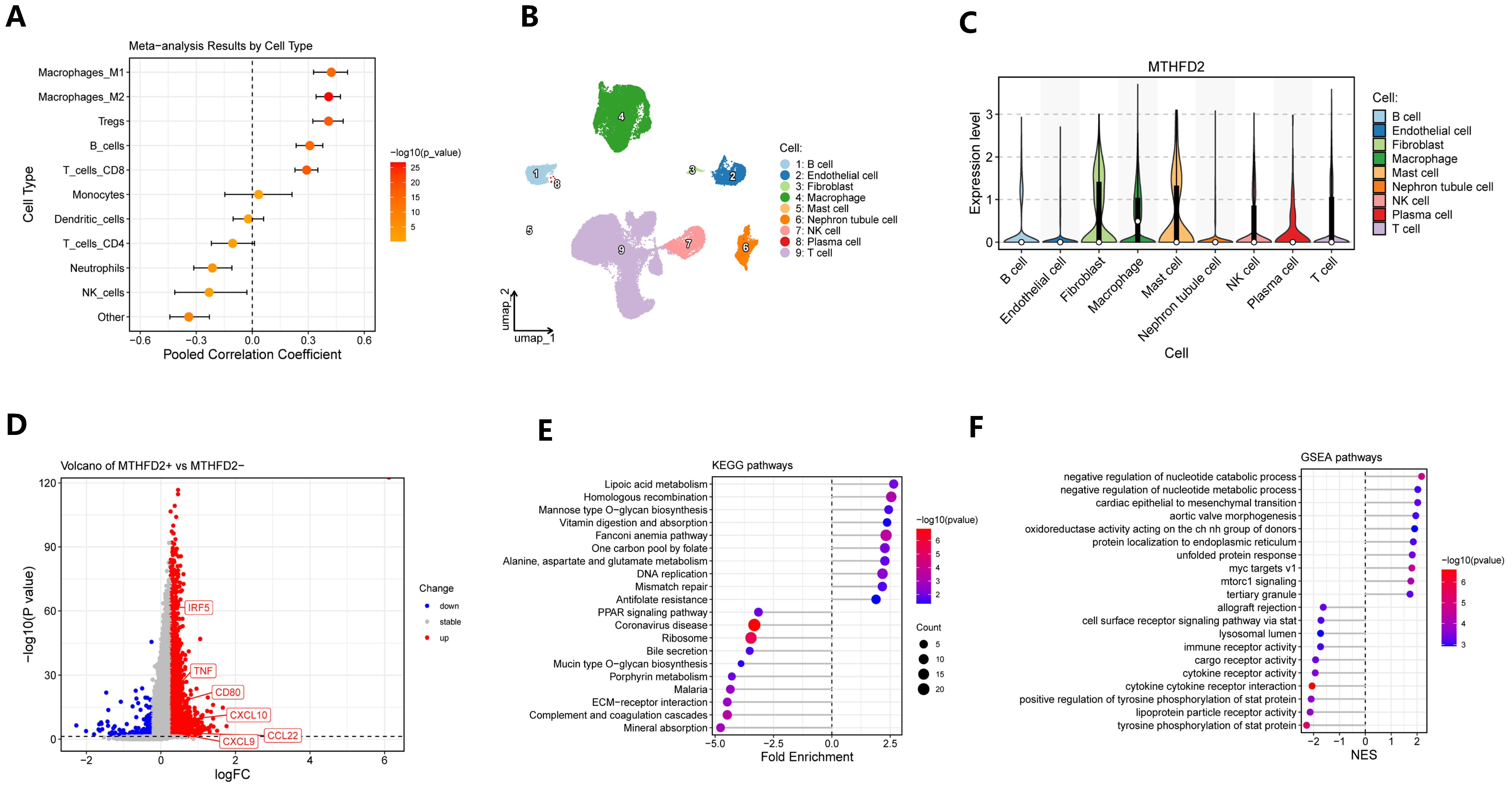 Ijms 27 02021 g005 Ijms 27 02021 g005