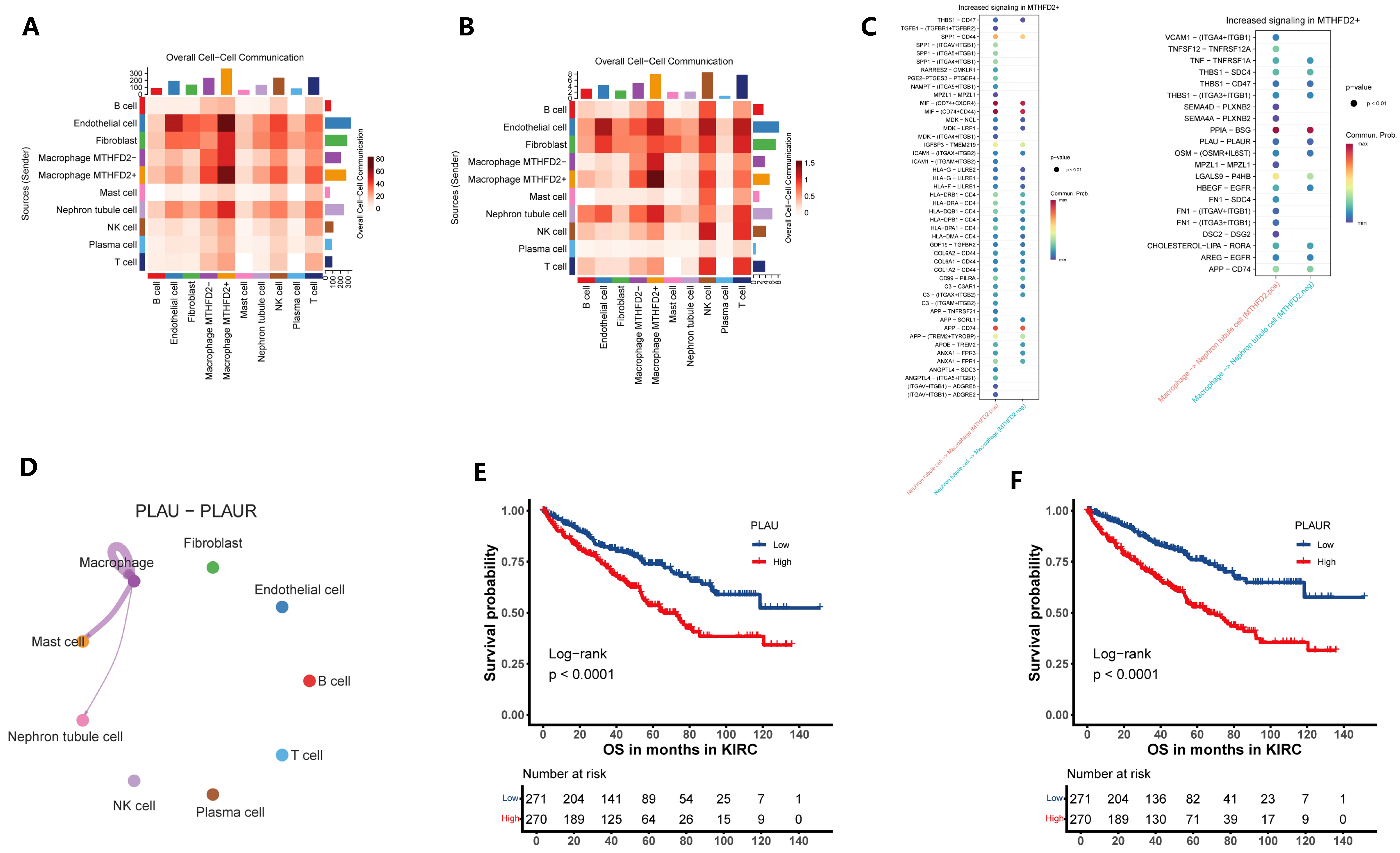 Ijms 27 02021 g006 Ijms 27 02021 g006
