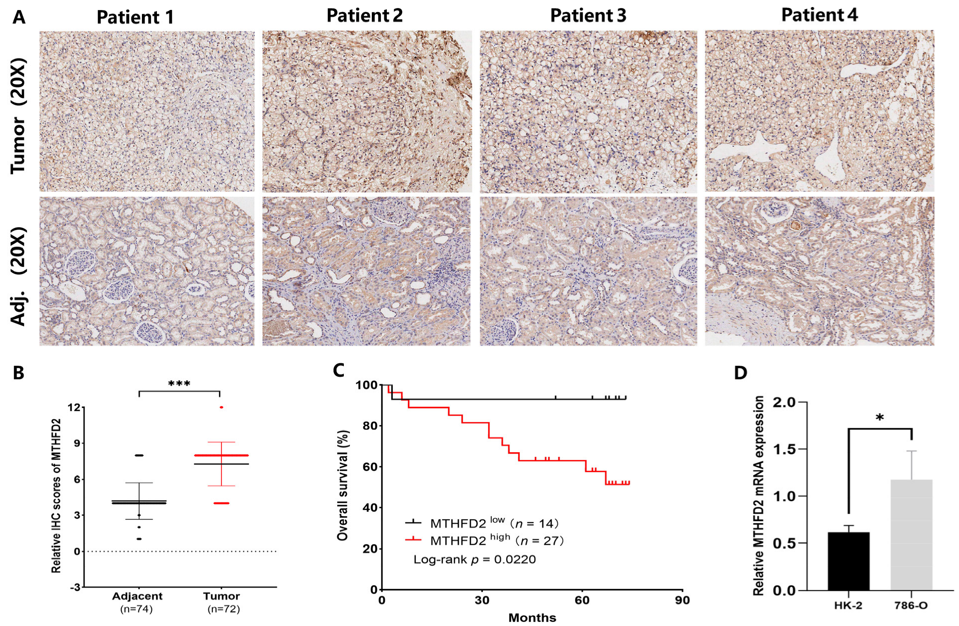 Ijms 27 02021 g007 Ijms 27 02021 g007