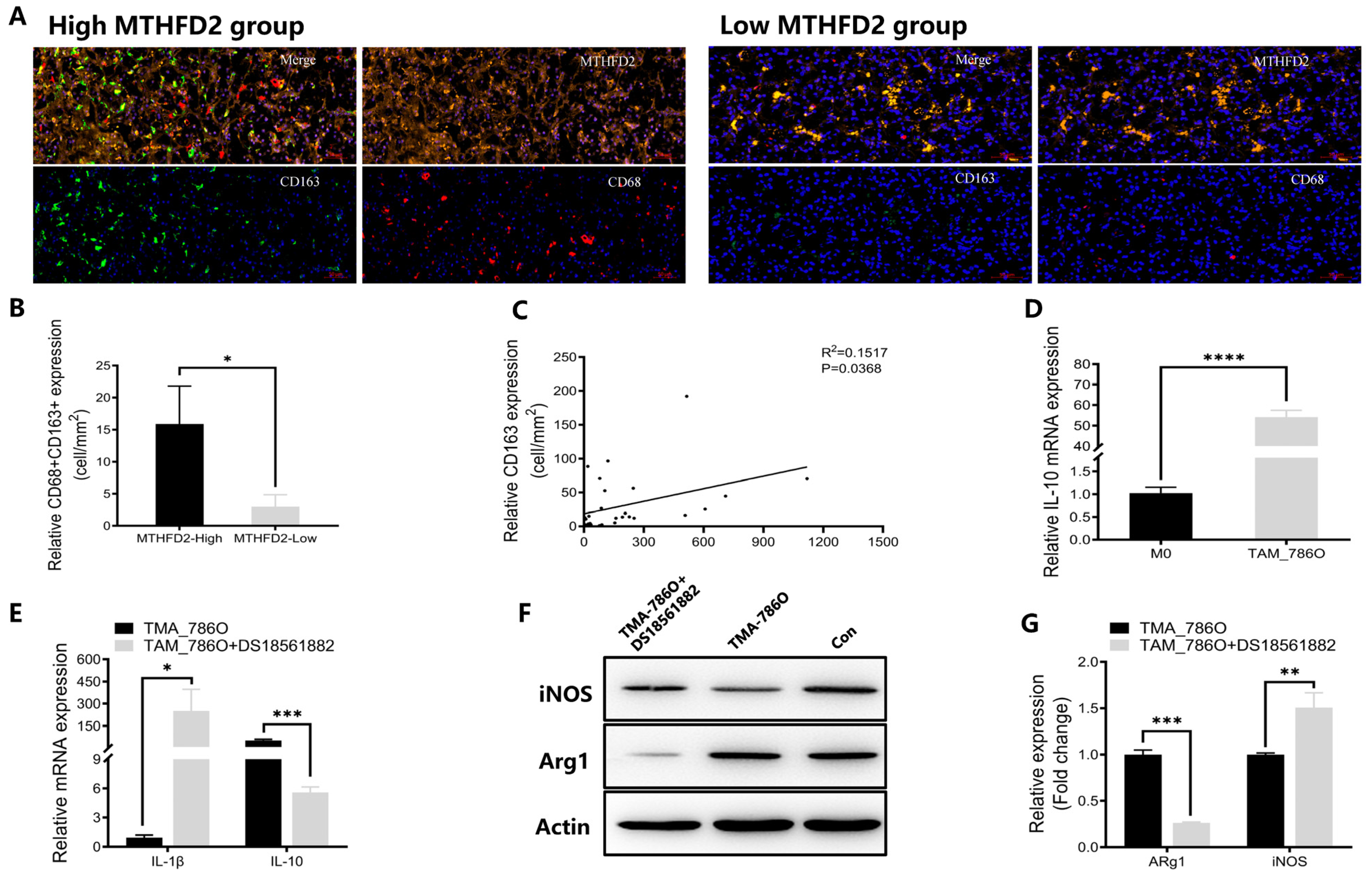 Ijms 27 02021 g008 Ijms 27 02021 g008