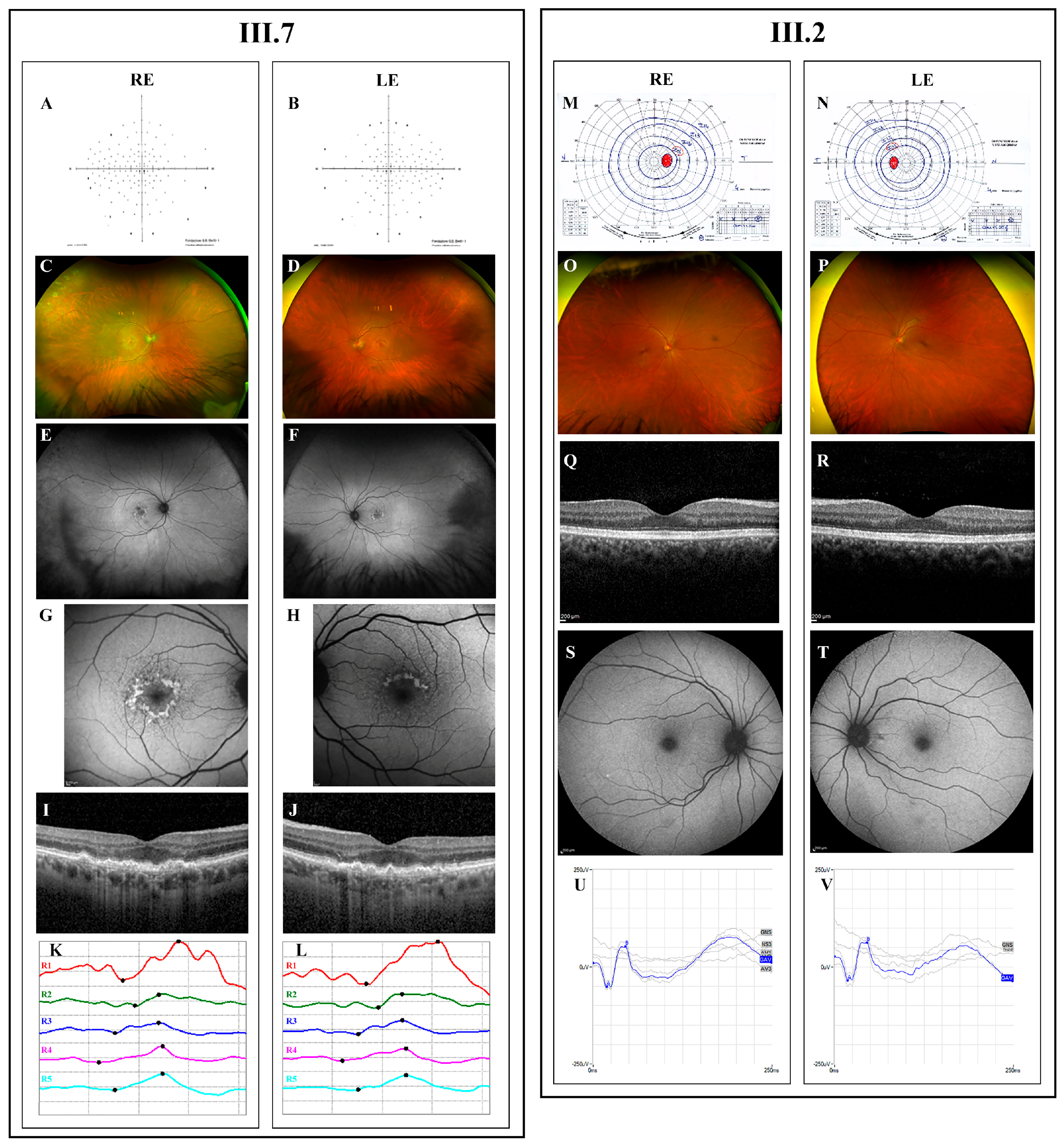 Ijms 27 02368 g003 Ijms 27 02368 g003