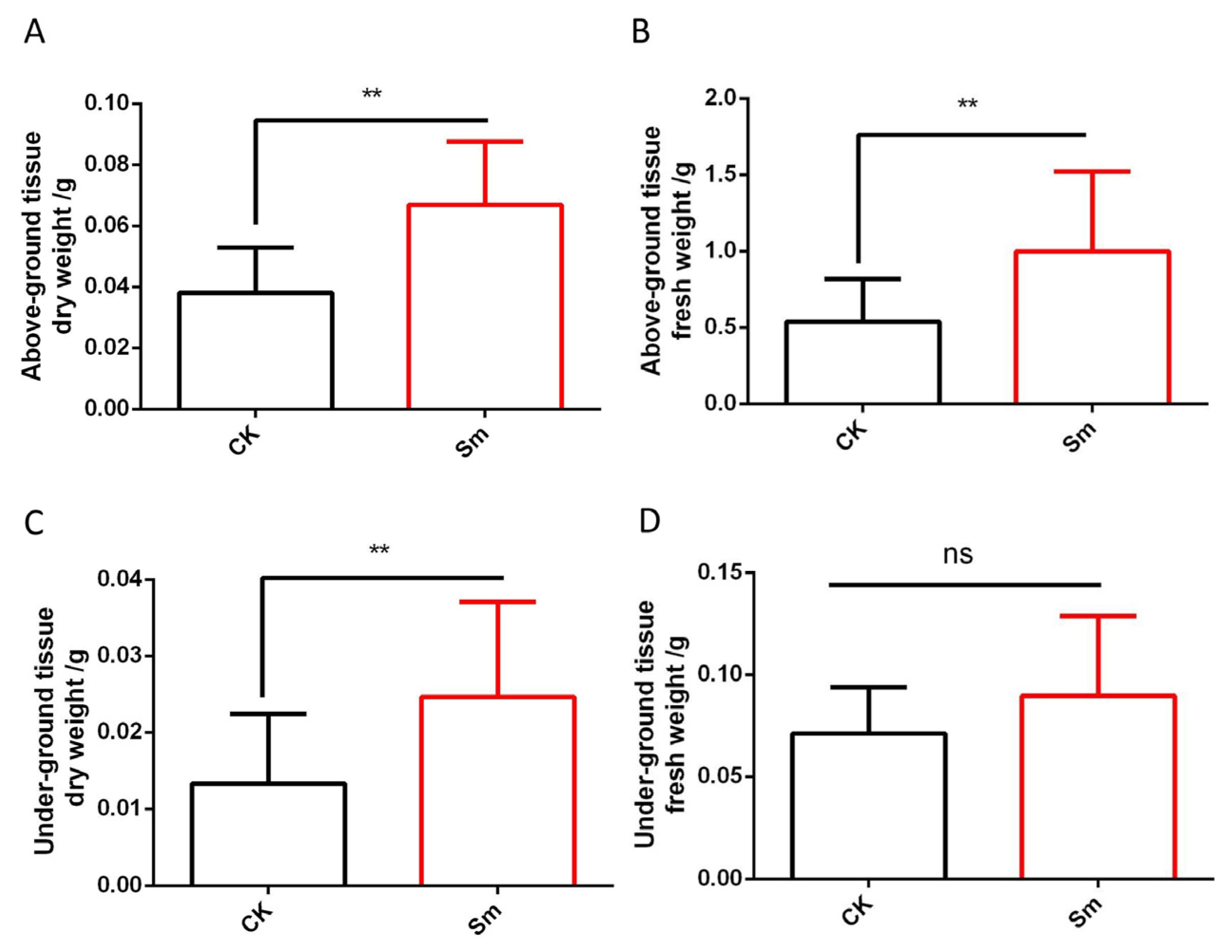 Ijms 27 03136 g002 Ijms 27 03136 g002