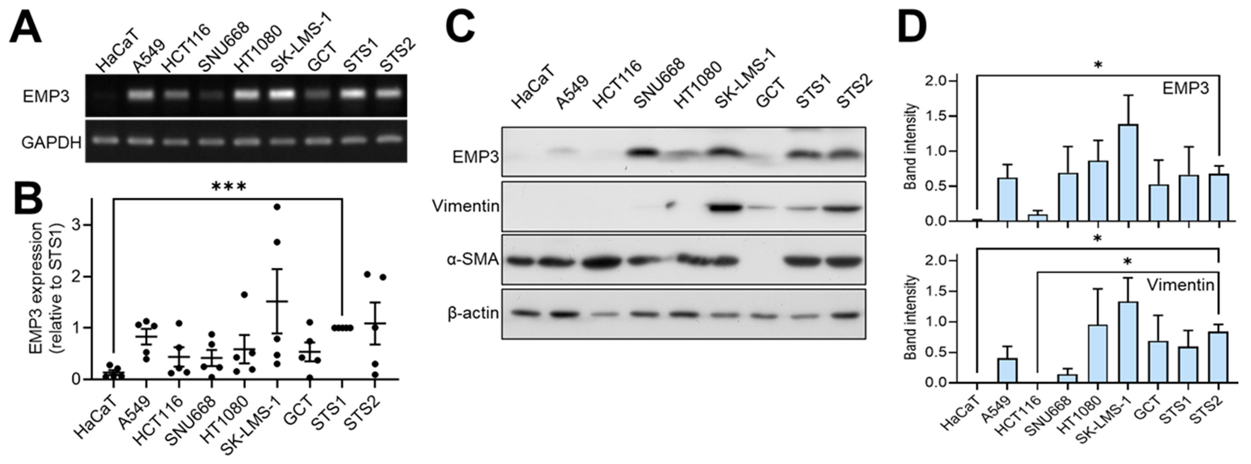 Ijms 27 03309 g006