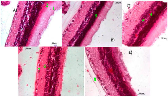 Ijms 27 03427 g003