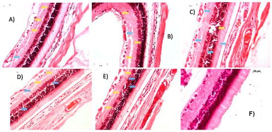 Ijms 27 03427 g006