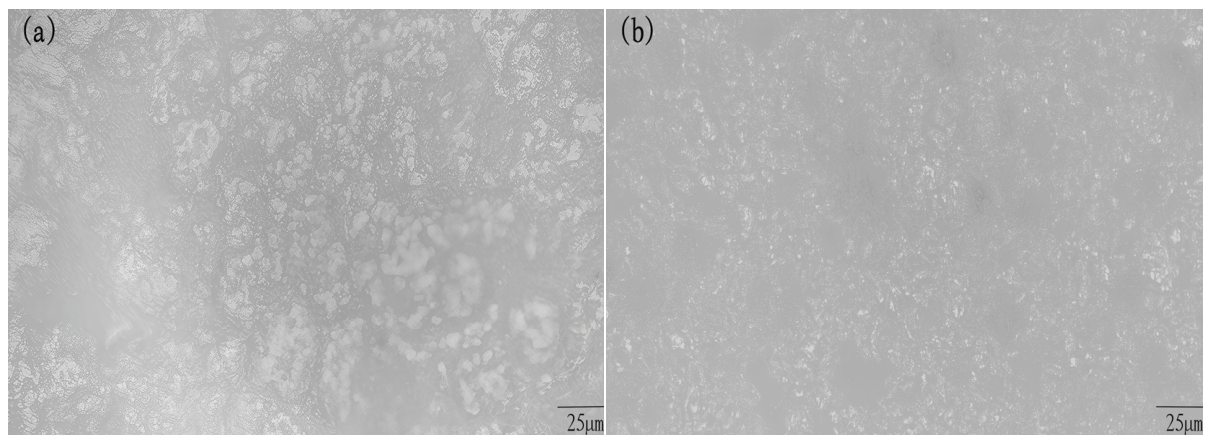 Ijms 27 03837 g001a