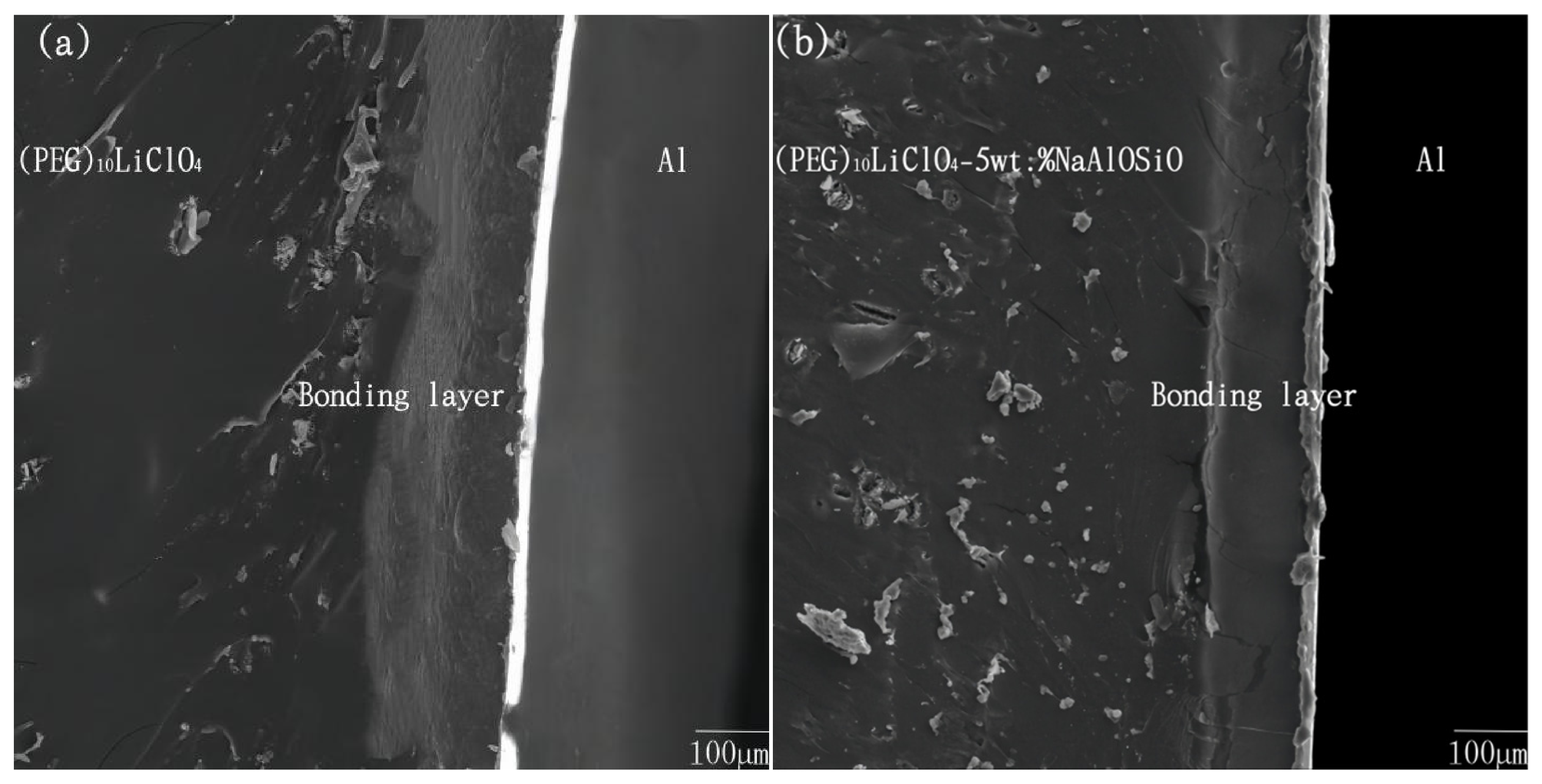 Ijms 27 03837 g007a