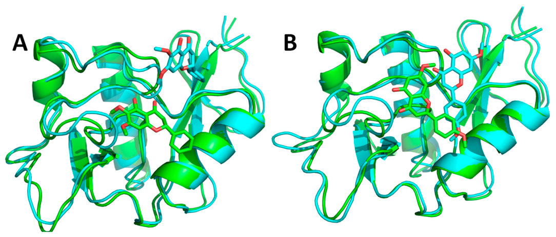 Ijms 27 05324 g010