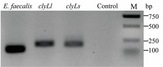 Ijms 27 05474 g0a1