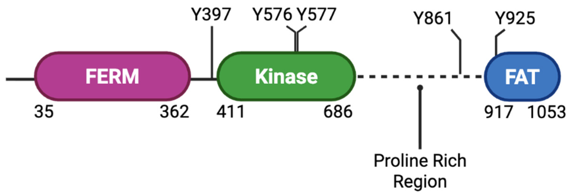 Ijms 27 06335 g002