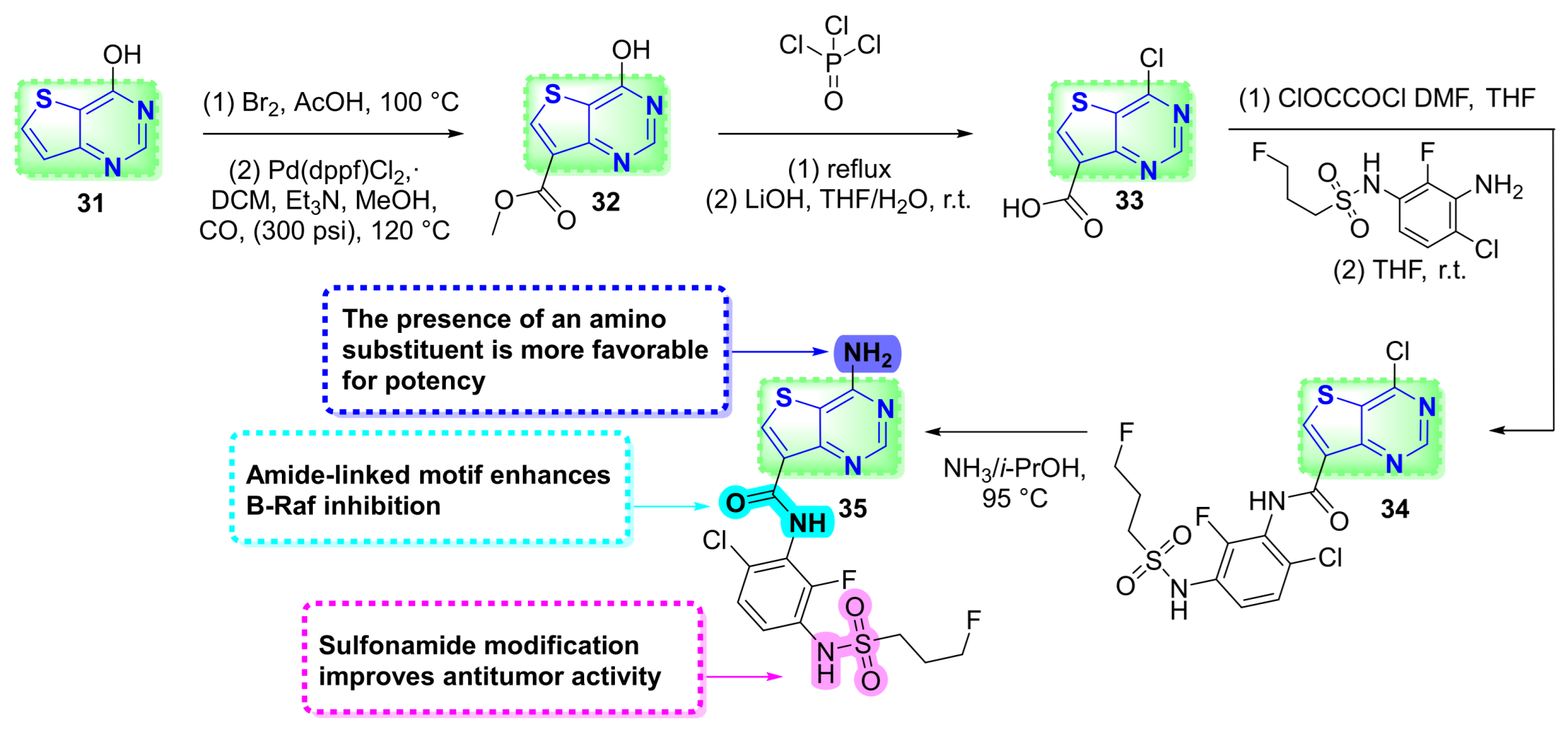 Ijms 27 07457 sch009 Ijms 27 07457 sch009
