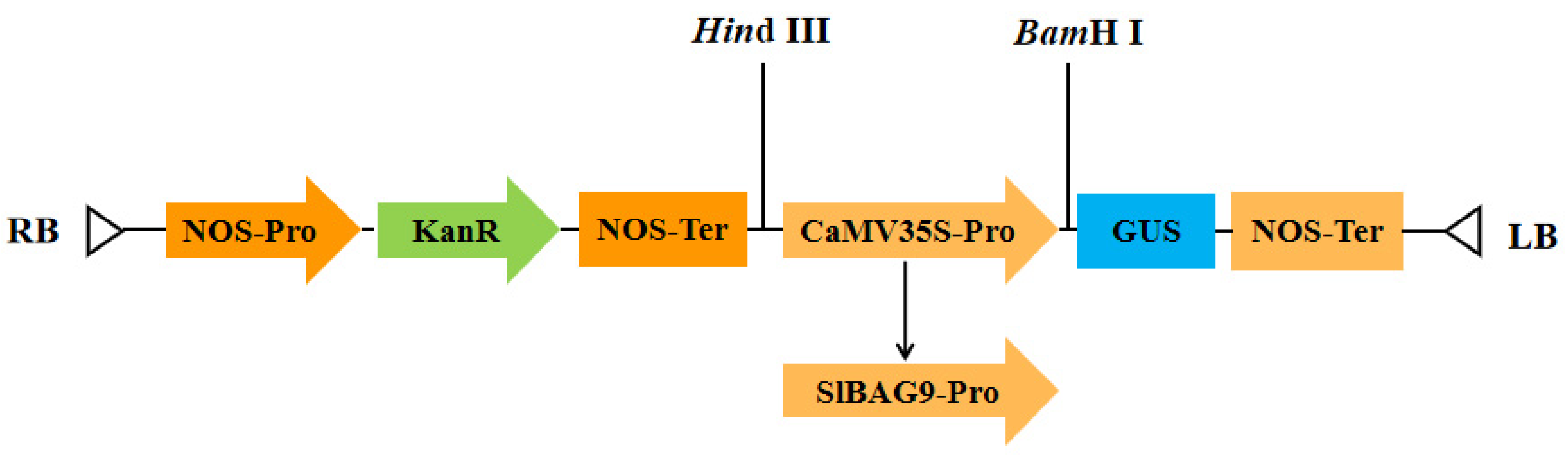 Ijms 27 07496 g006 Ijms 27 07496 g006