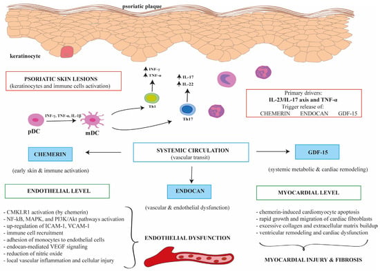 Pathogenesis Cascade Molecular Biomarkers Linking Psoriasis and Cardiovascular Disease ...