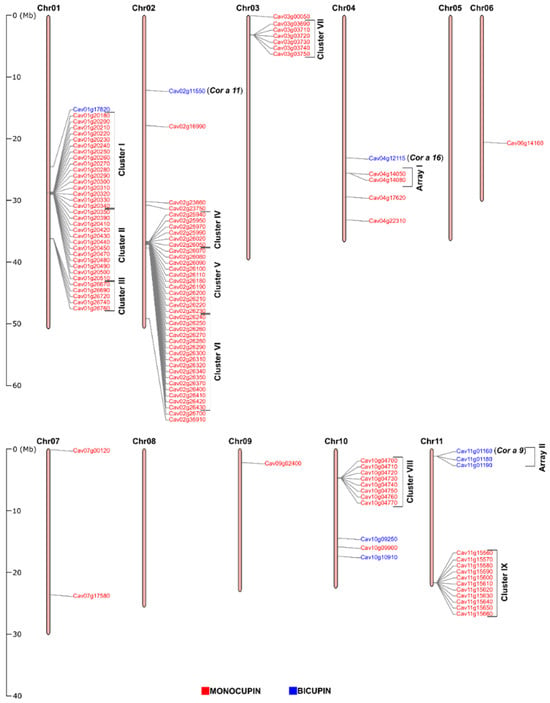 Structure, Evolution and Functional Inference on the CDP Gene Family in ...