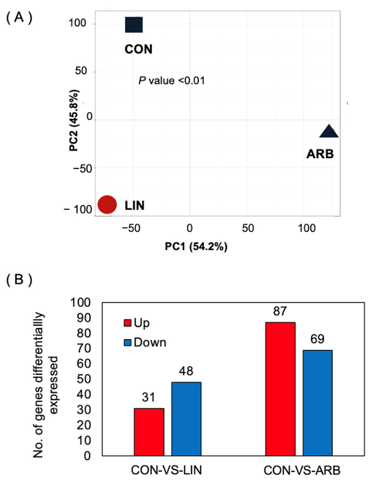 Lonalool Transcriptome Analysis of Linalool-Induced Hypopigmentation in B16 ...