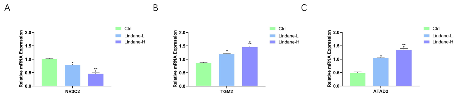 Ijms 27 09056 g015 Ijms 27 09056 g015