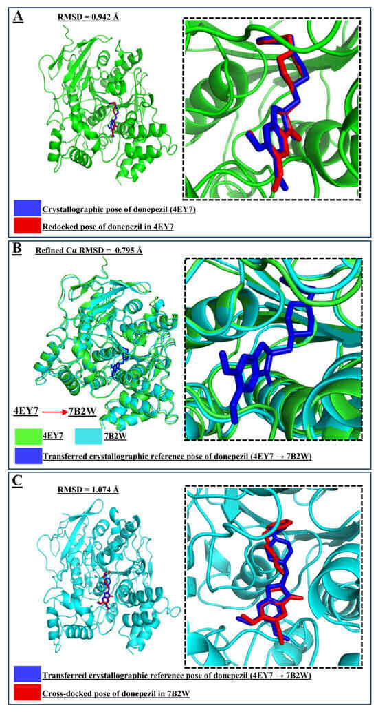 Multiscale Computational Prioritization of Chromone-Based ...