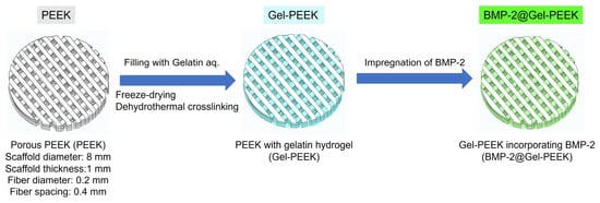 Evaluation of Bone Regeneration by Sustained Release of Bone ...