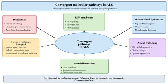 Beyond Monogenic Inheritance: Emerging Genetic Architecture of ...