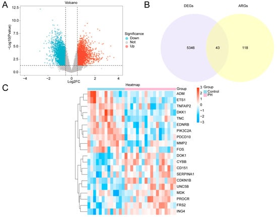 Machine Learning-Based Screening and Experimental Validation of PIK3C2A ...
