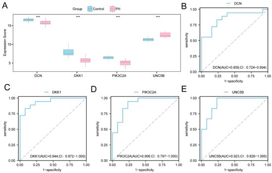 Machine Learning-Based Screening and Experimental Validation of PIK3C2A ...