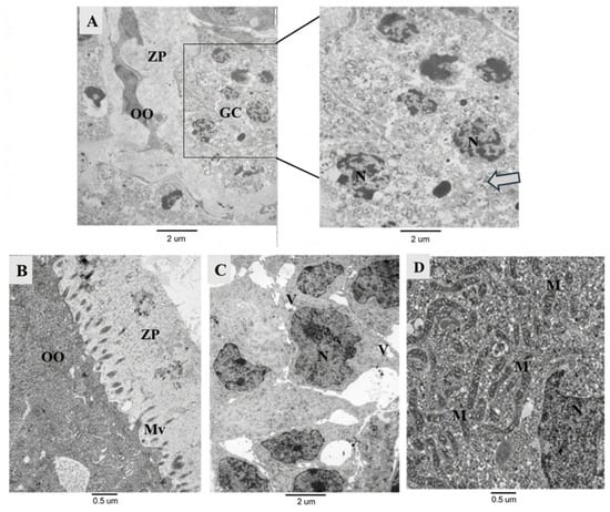 Thymol Regulates the Expression of Antioxidant-Related Messenger RNAs ...