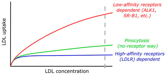 Transendothelial Transport of Low-Density Lipoproteins in ...