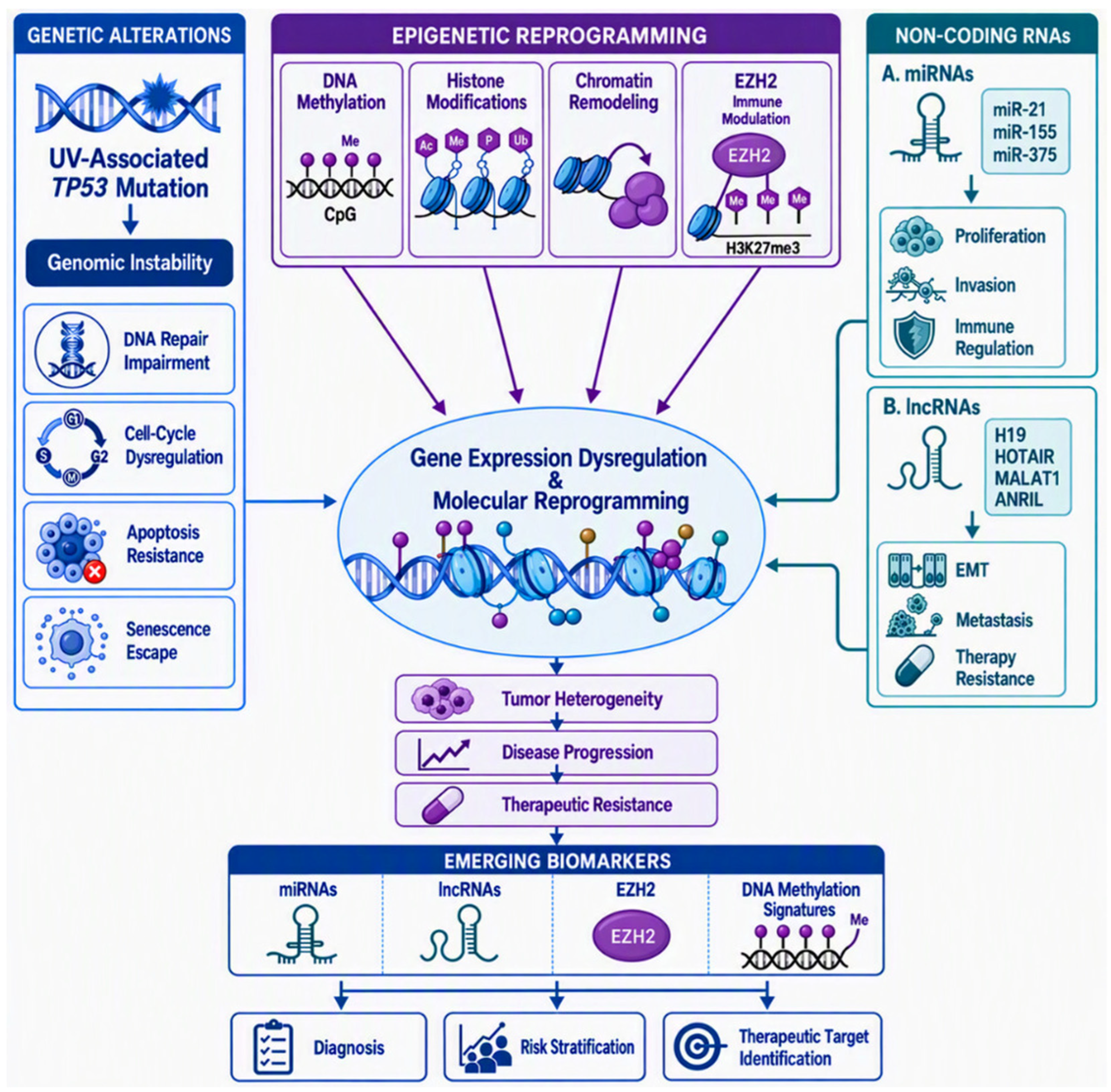 Genetic Instability Lip Squamous Cell Carcinoma: A Conceptual Framework for Integrating ...