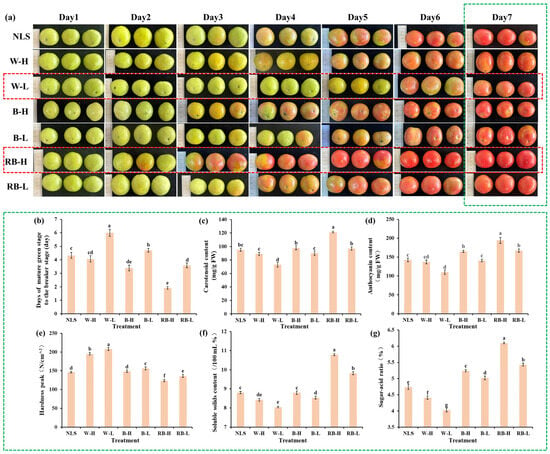 Characterization of the Aromatic Profile of Mature-Green Tomato Fruit ...