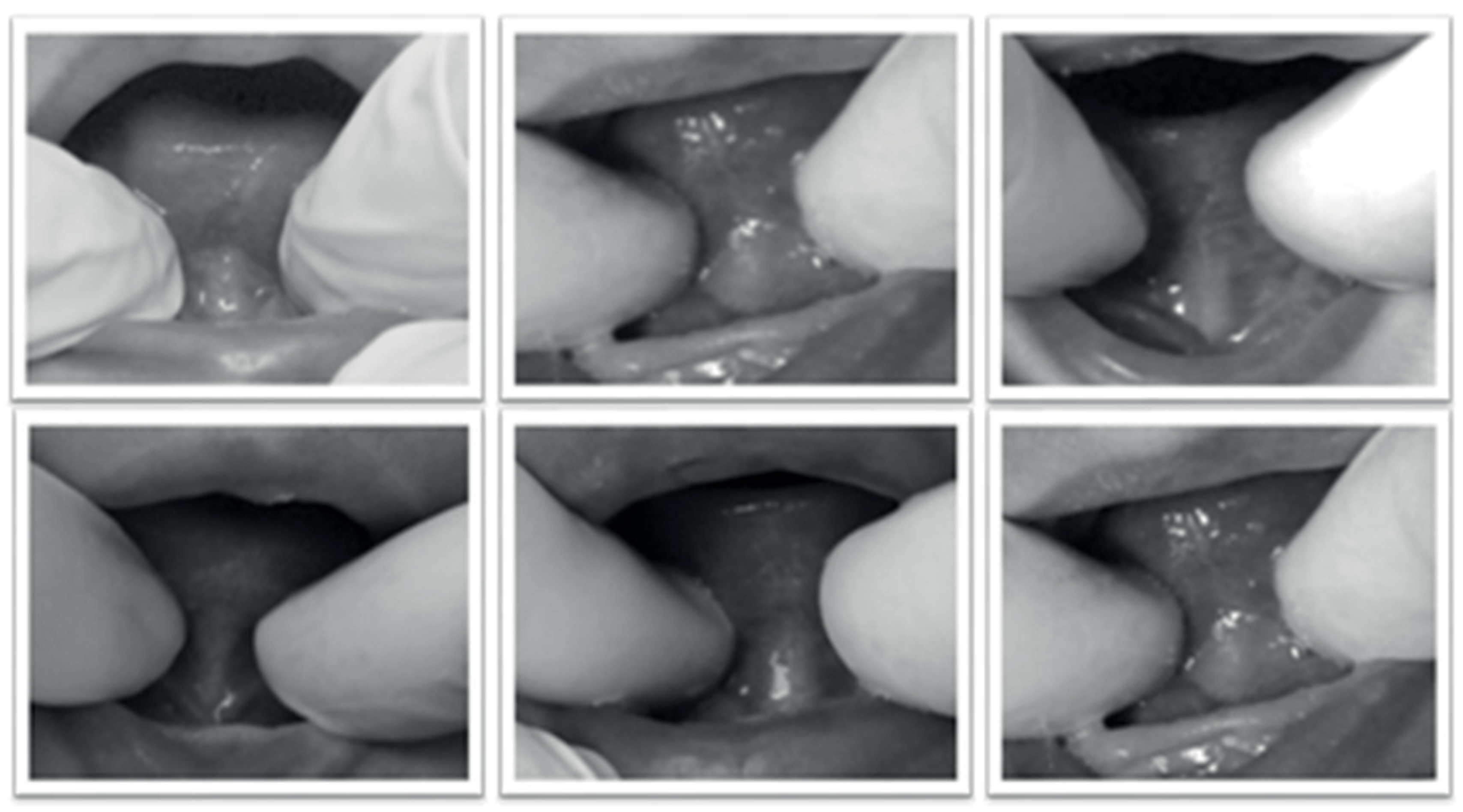 Ijom 42 00049 g001 Ijom 42 00049 g001