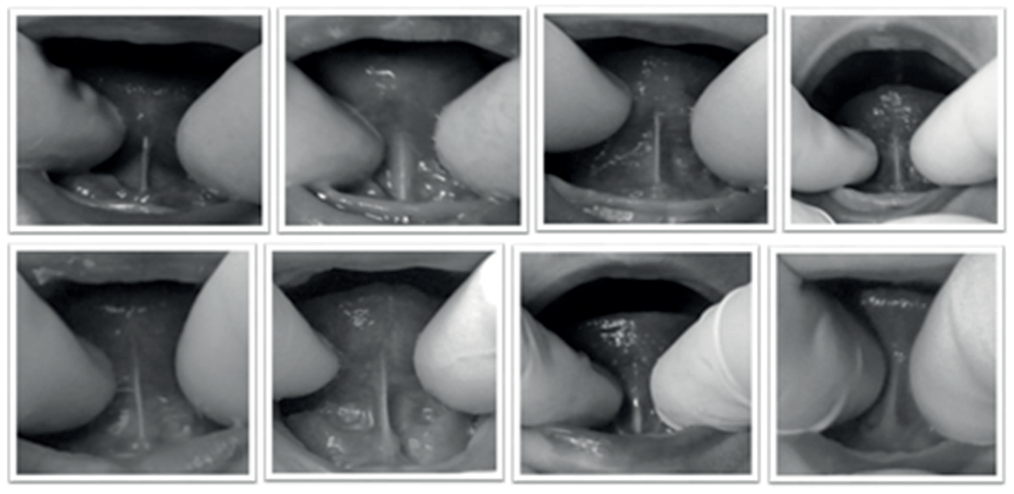 Ijom 42 00049 g002 Ijom 42 00049 g002