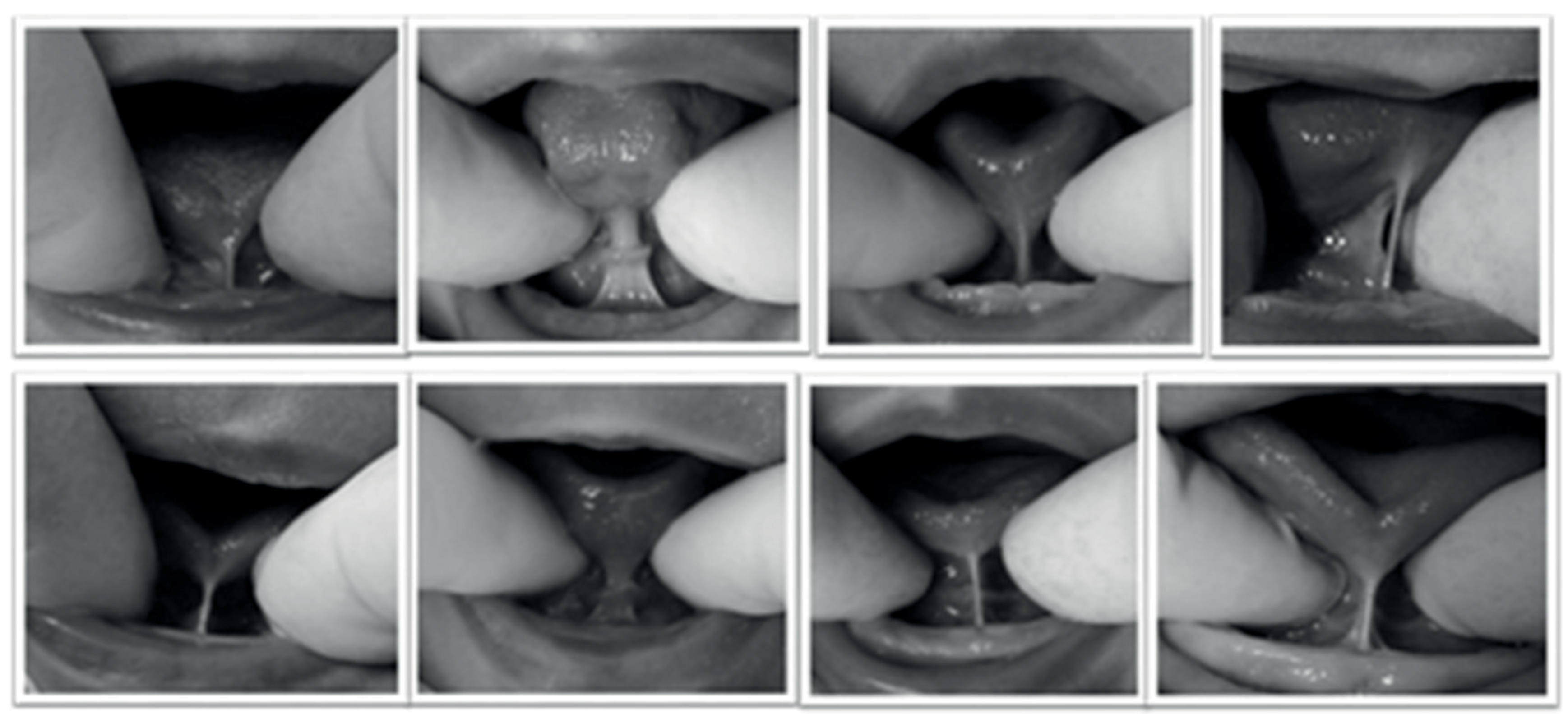 Ijom 42 00049 g003 Ijom 42 00049 g003