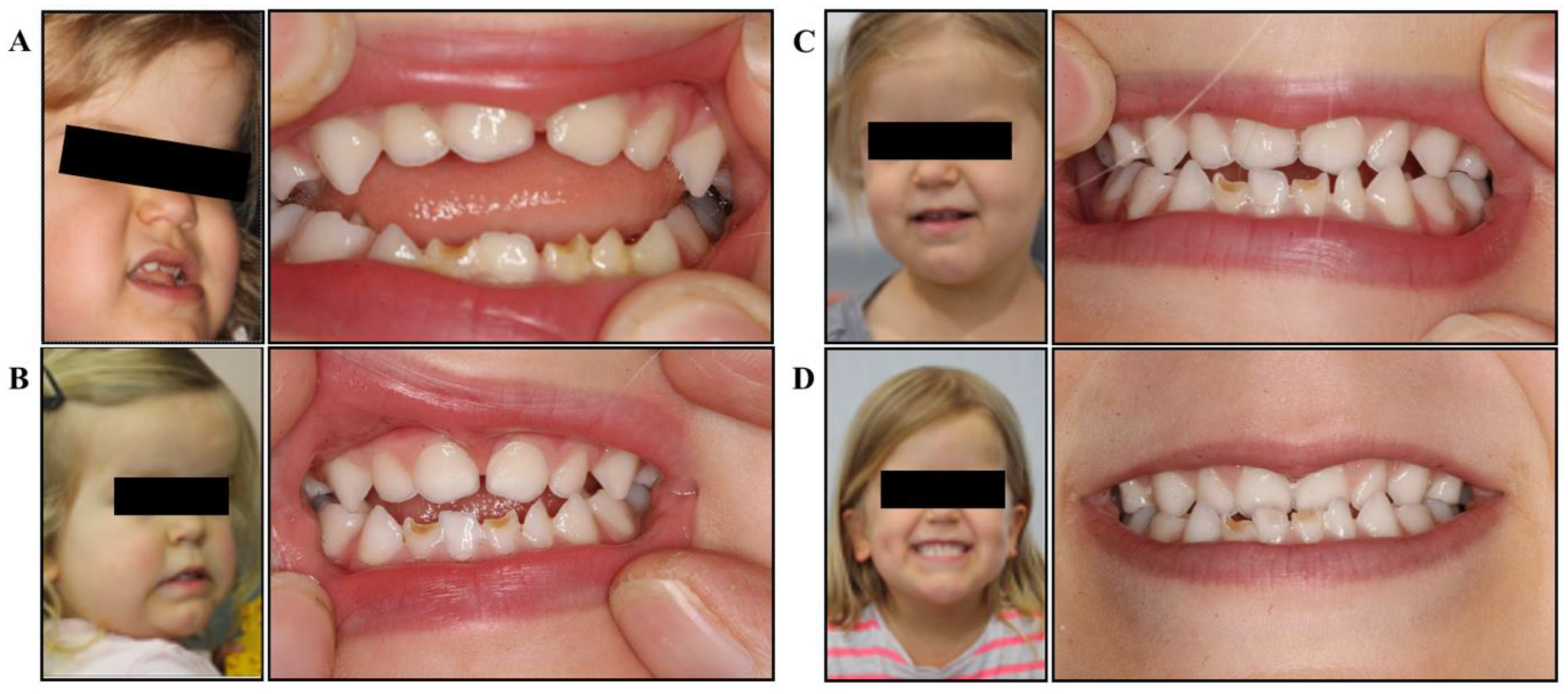 Ijom 50 00002 g001 Ijom 50 00002 g001