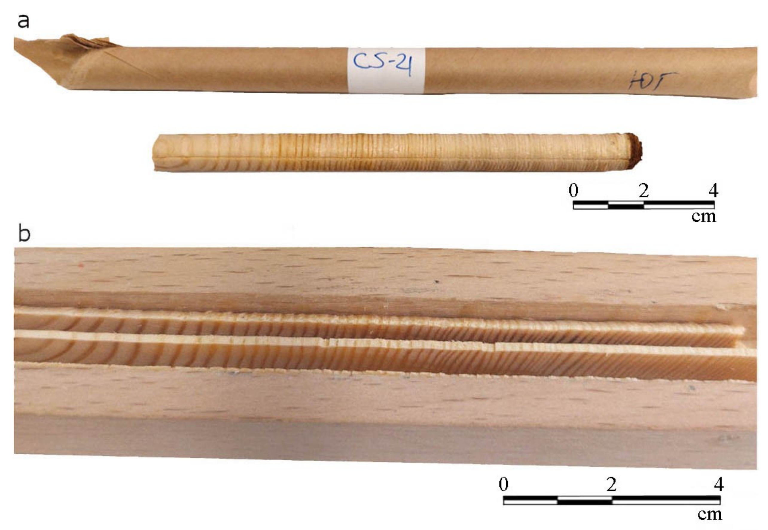 Ijpb 13 00014 g001 Ijpb 13 00014 g001