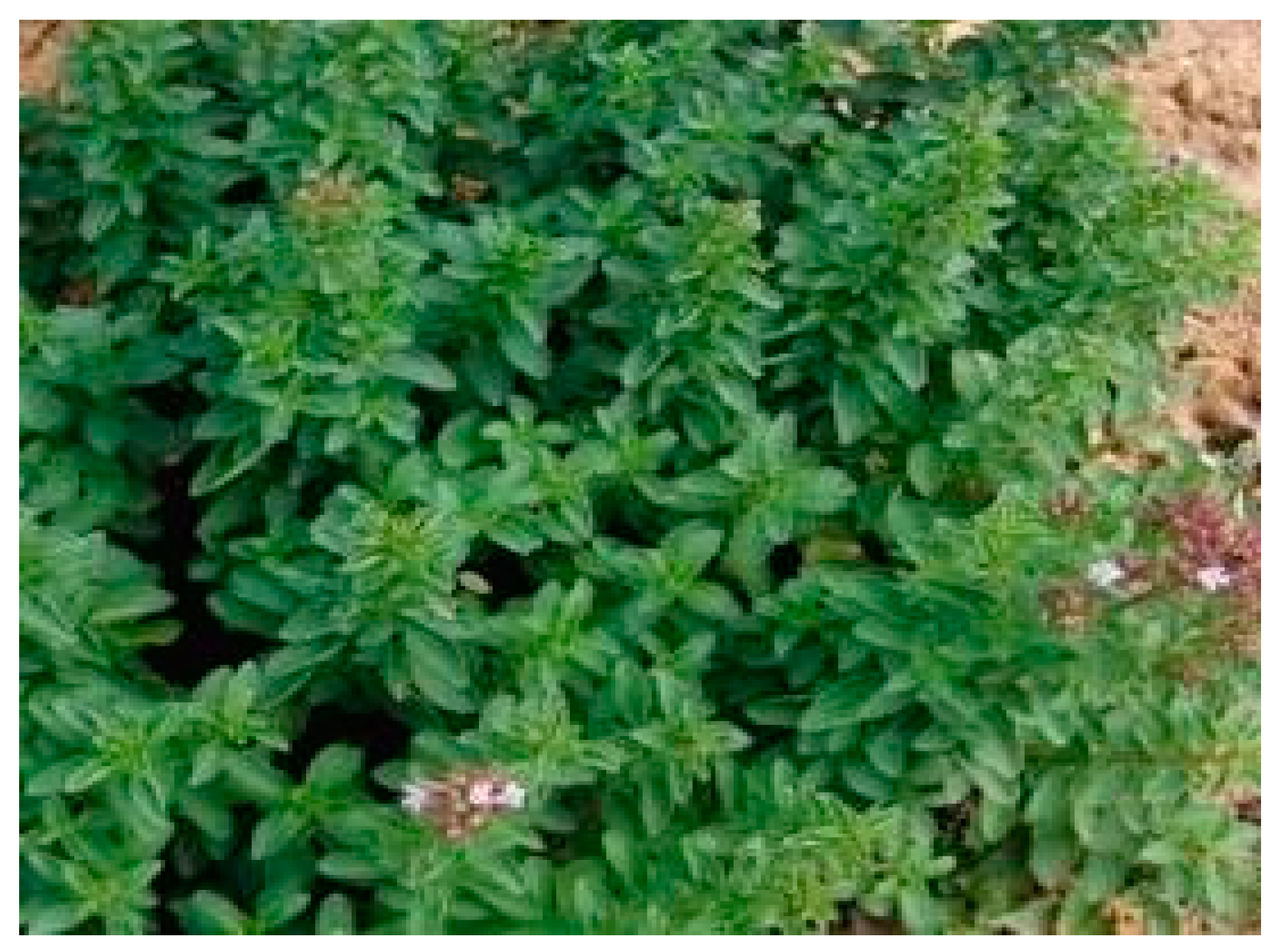 Ijpb 13 00044 g003 Ijpb 13 00044 g003