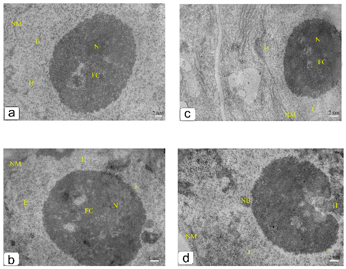 Ijpb 14 00010 g007