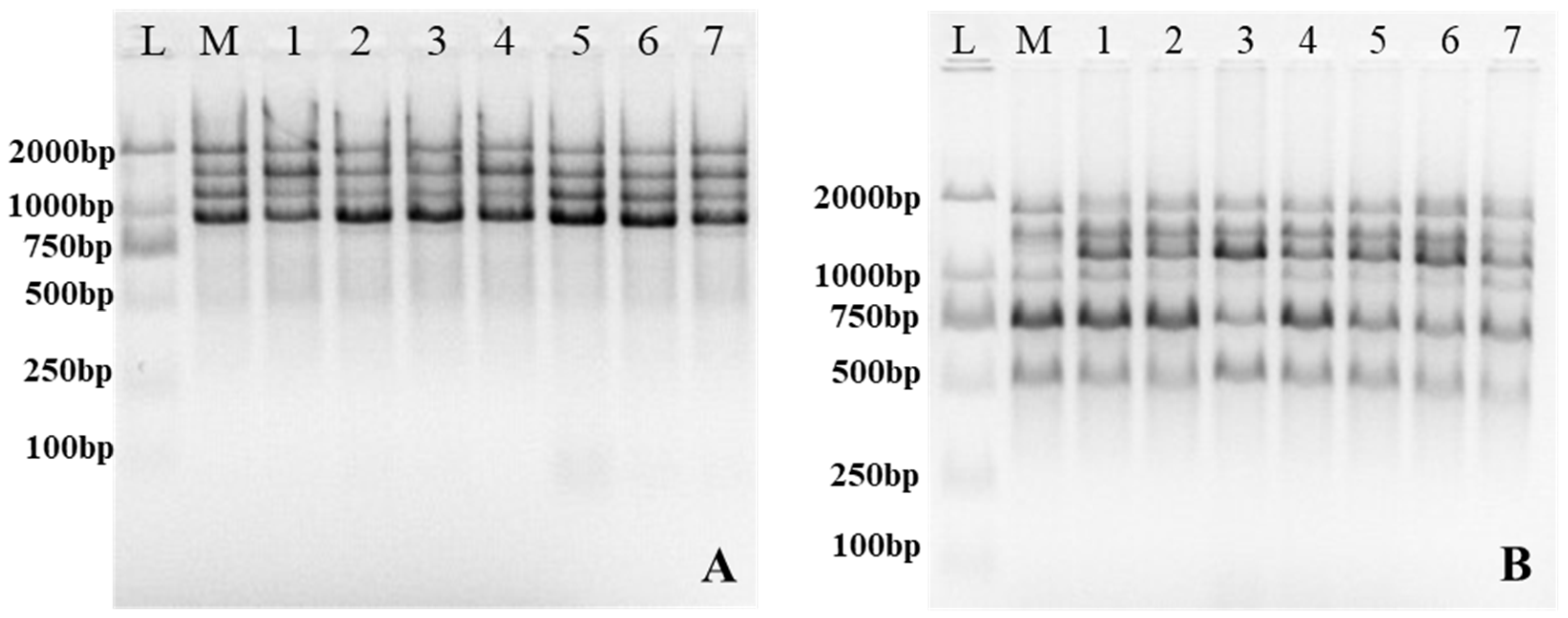Ijpb 14 00018 g002