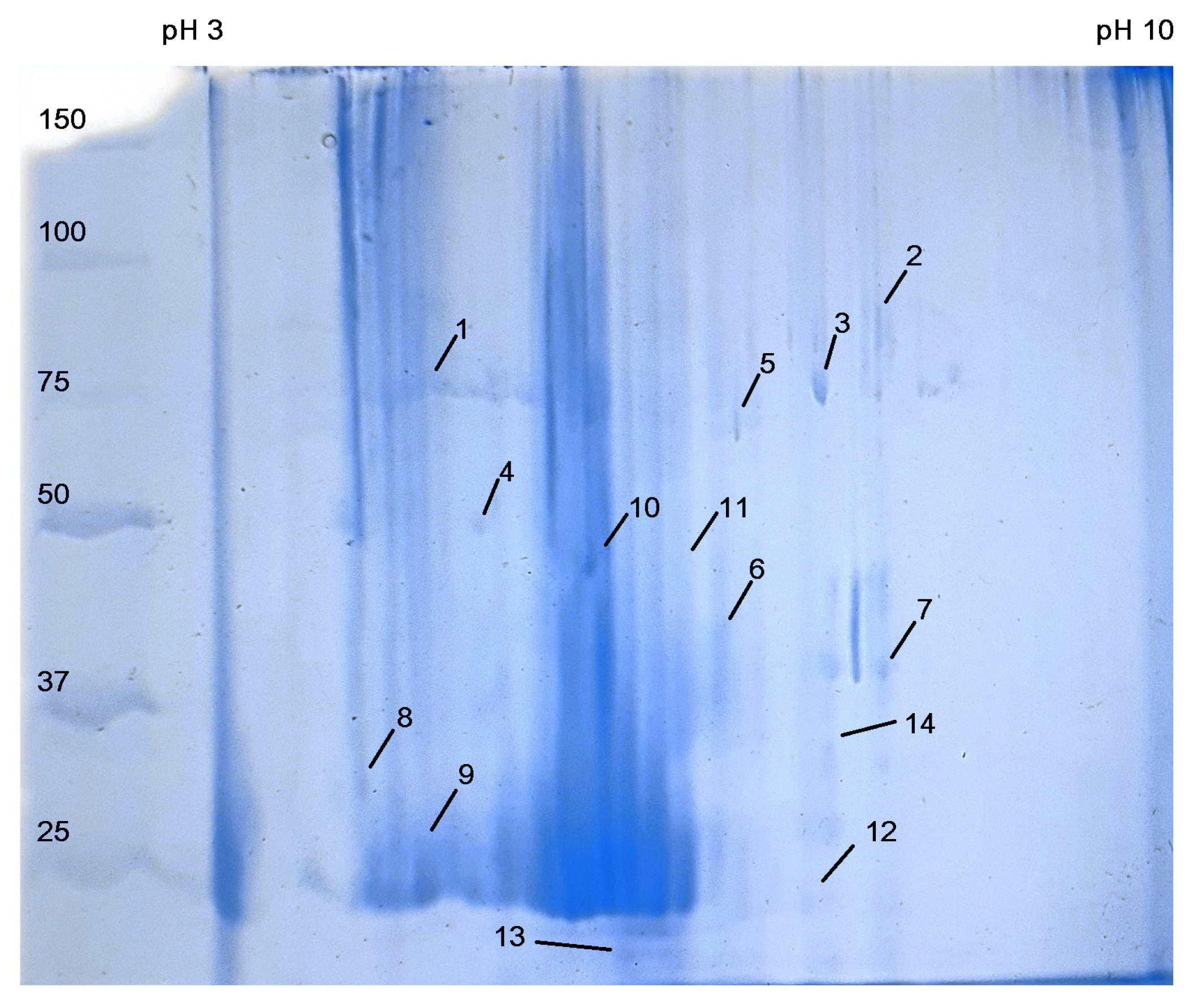 Ijpb 14 00026 g007 Ijpb 14 00026 g007