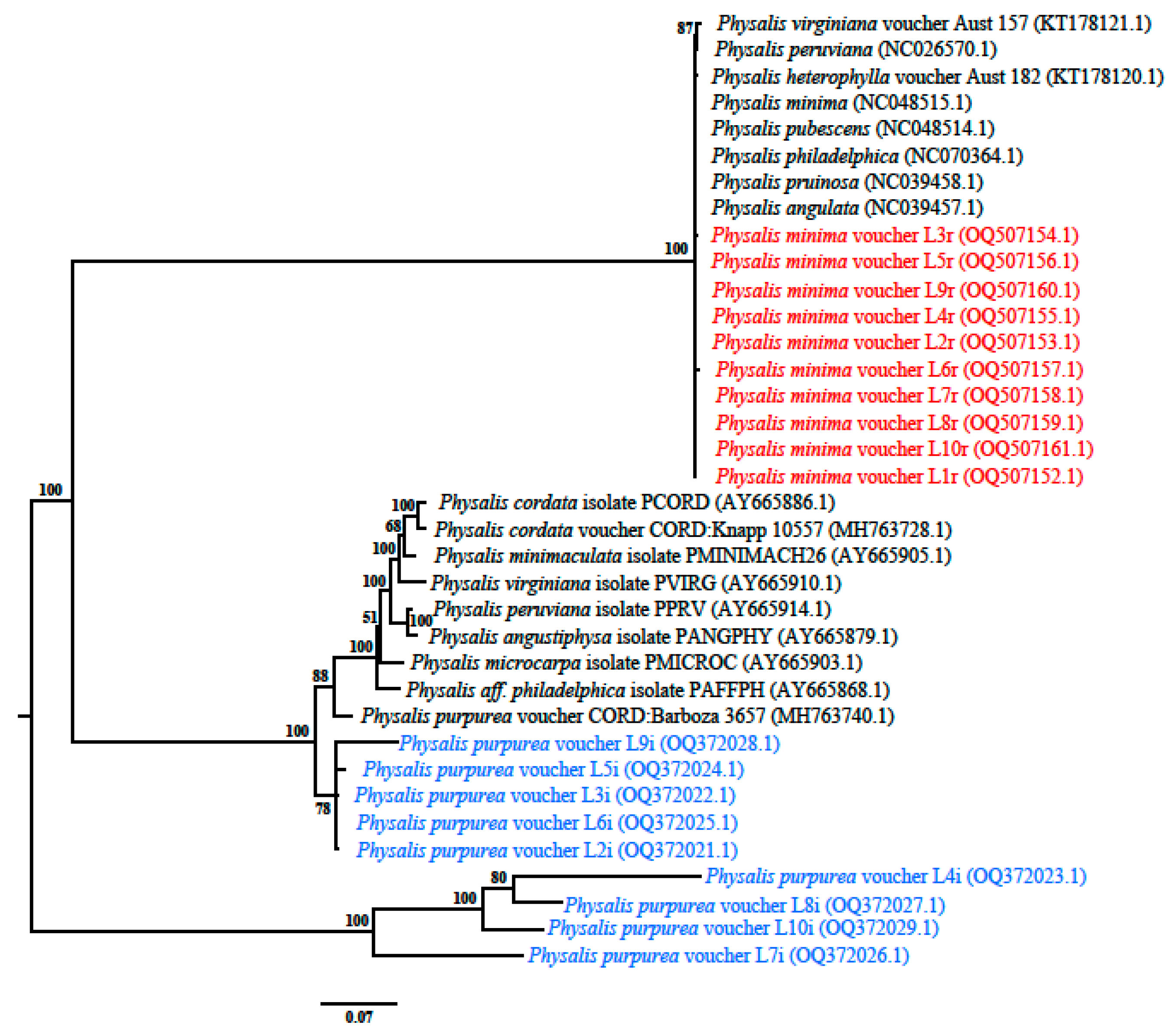 Ijpb 14 00073 g002 Ijpb 14 00073 g002