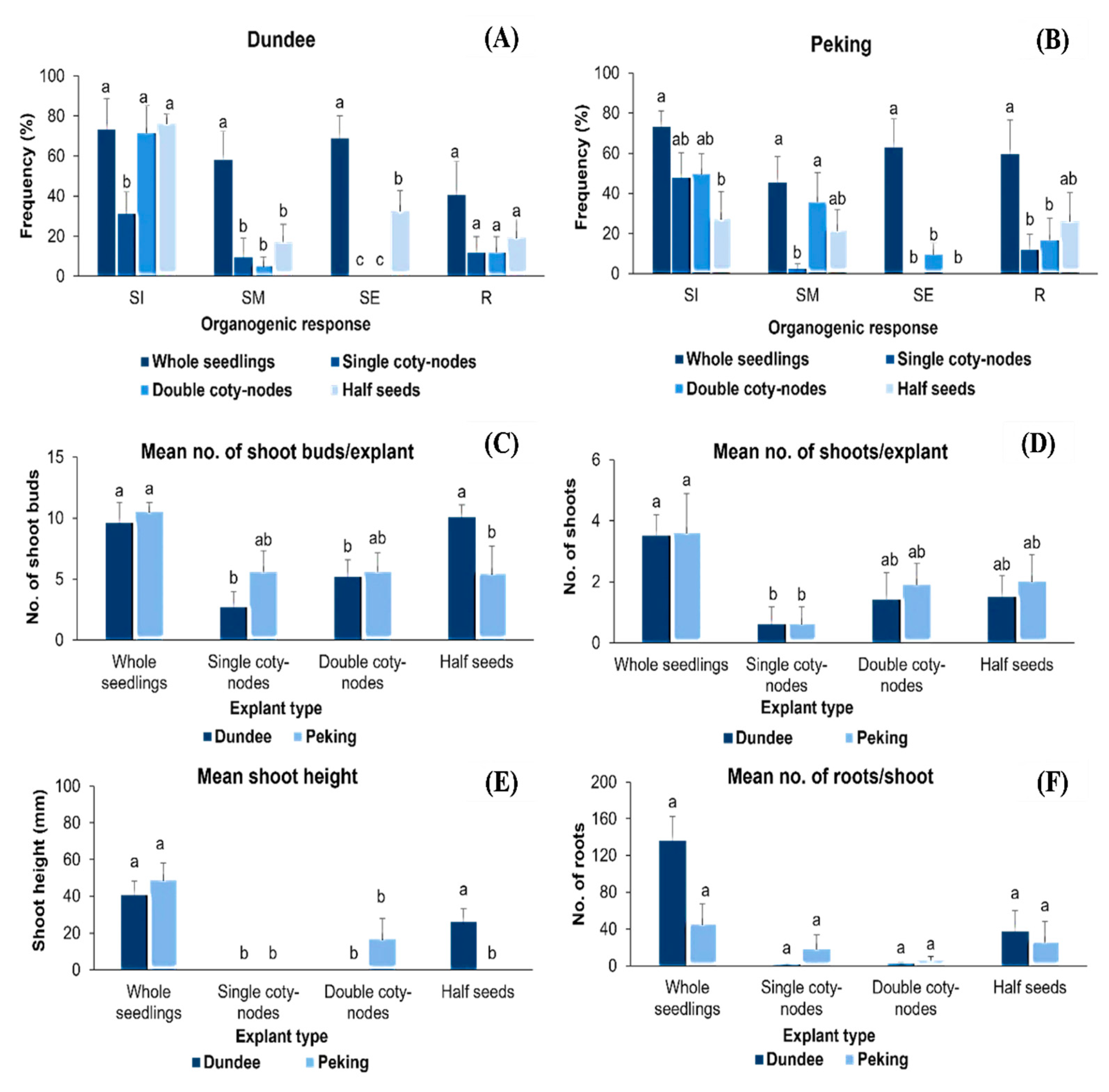 Ijpb 15 00022 g006 Ijpb 15 00022 g006
