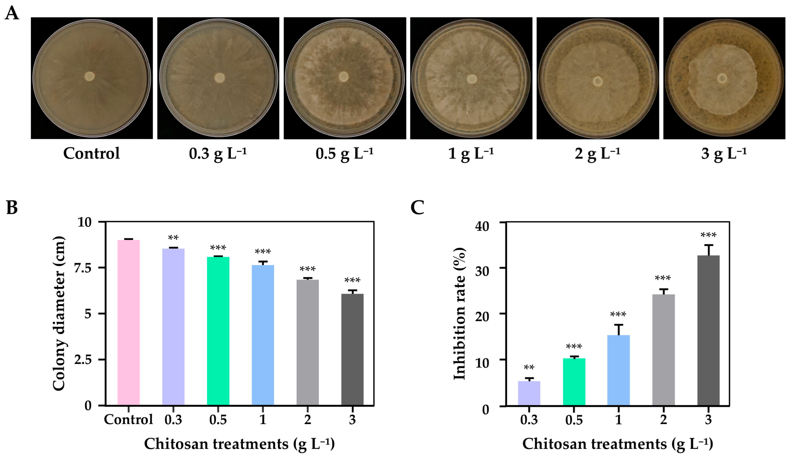 Ijpb 16 00096 g001 Ijpb 16 00096 g001