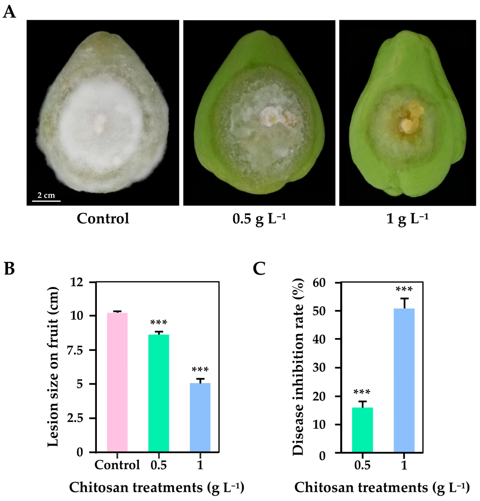 Ijpb 16 00096 g002 Ijpb 16 00096 g002