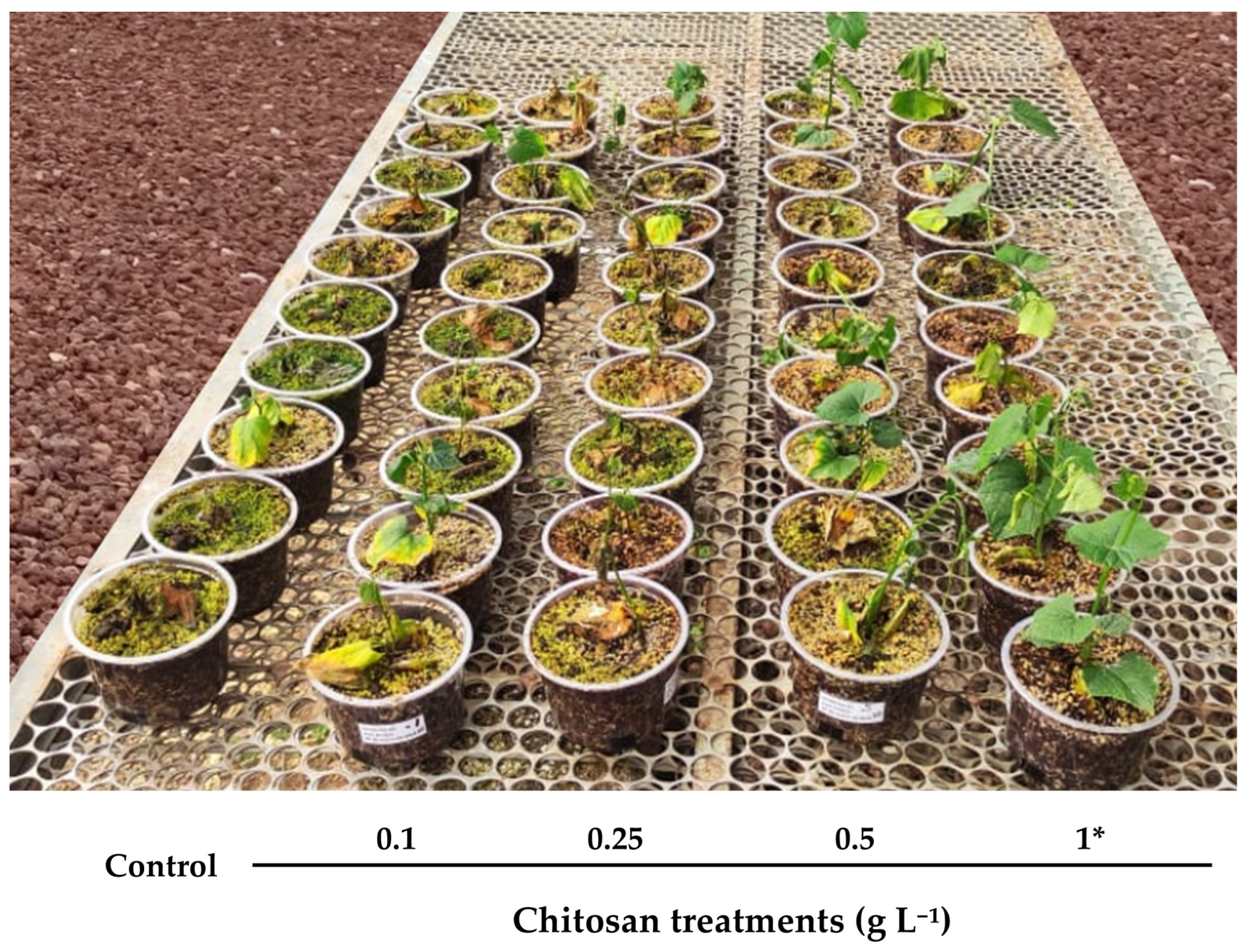 Ijpb 16 00096 g003 Ijpb 16 00096 g003